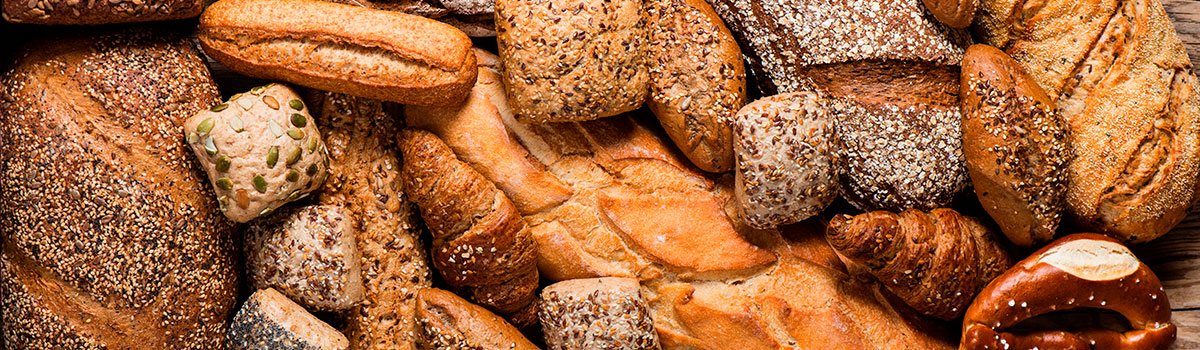 ¿Conoces los tipos de pan que existen?